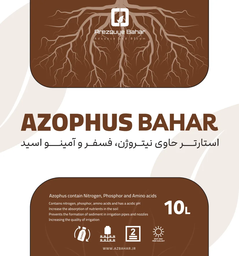 NP استارتر