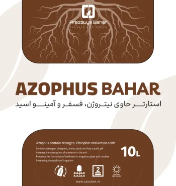 NP استارتر