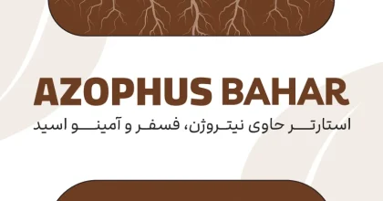 NP استارتر