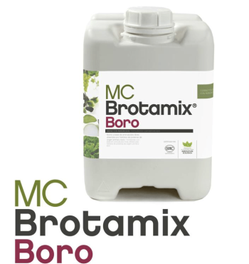 MC Brotamix Boro