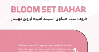 بلوم ست