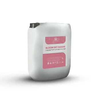 بلوم ست آرزوی بهار