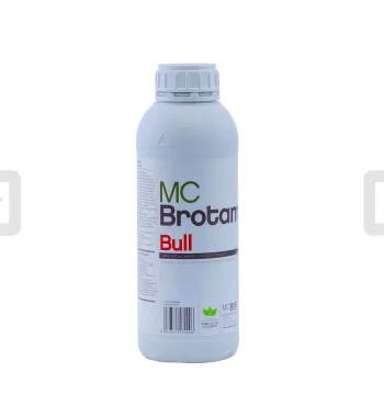 brotamix bull (2)
